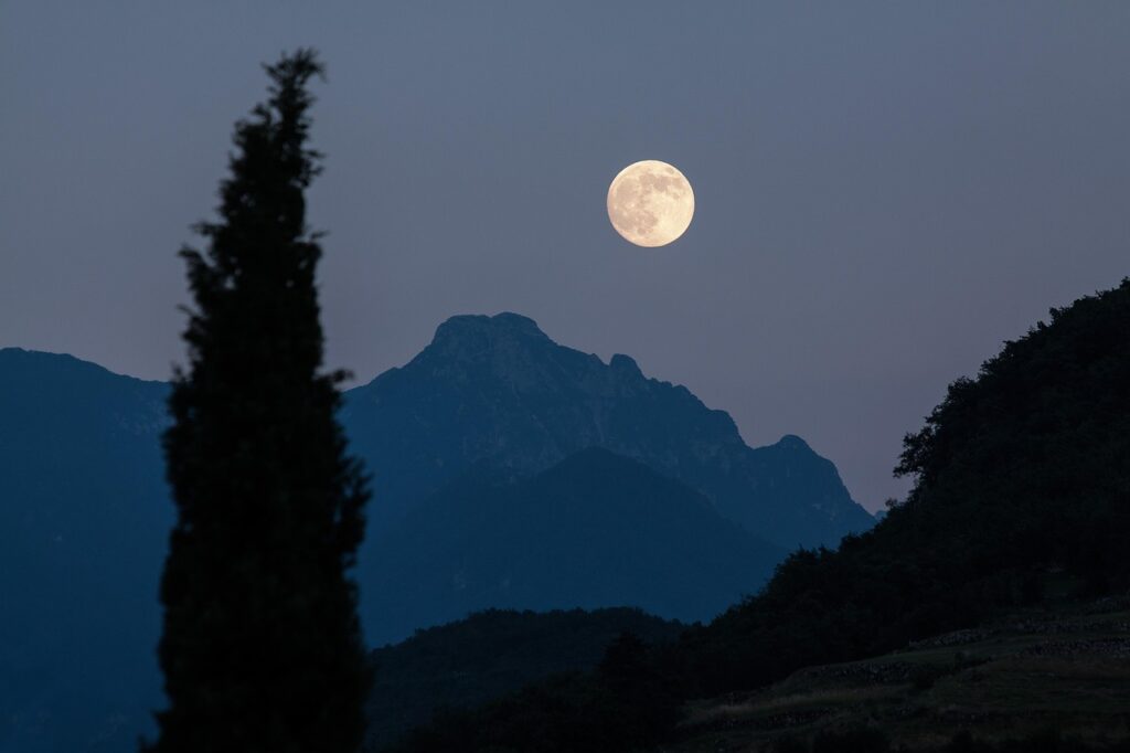 moon, cypress, mountains, moonrise, full moon, romantic, night, eve, nature, dusk, almost night